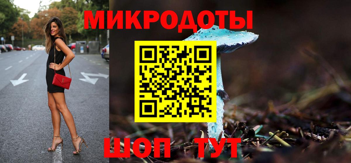 Галлюциногенные грибы Psilocybine cubensis Ярославль
