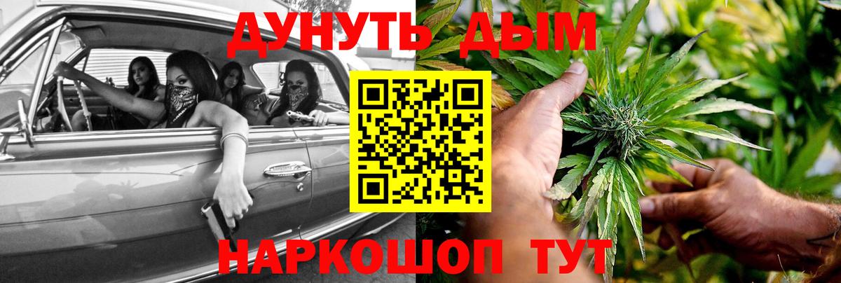Конопля план Ярославль